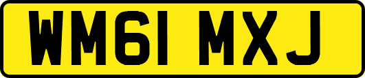 WM61MXJ
