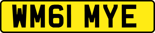 WM61MYE