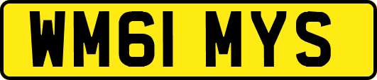 WM61MYS