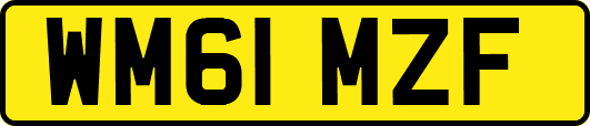 WM61MZF
