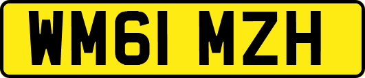 WM61MZH