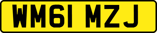 WM61MZJ