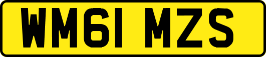 WM61MZS