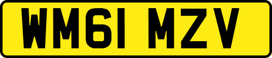 WM61MZV