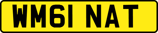 WM61NAT