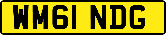 WM61NDG