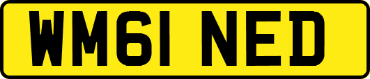 WM61NED
