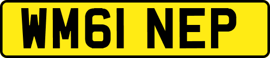 WM61NEP