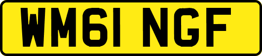 WM61NGF
