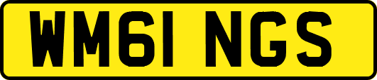 WM61NGS