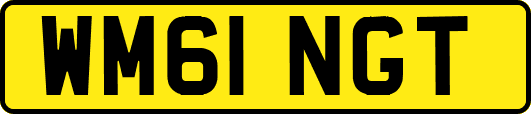 WM61NGT