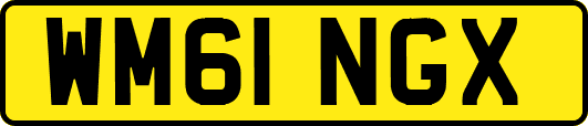 WM61NGX