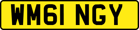 WM61NGY