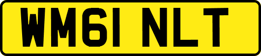 WM61NLT