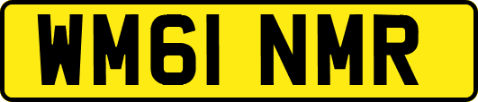 WM61NMR