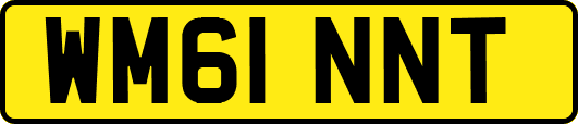 WM61NNT