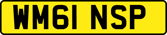 WM61NSP