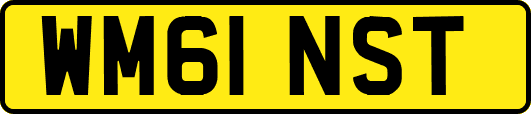 WM61NST