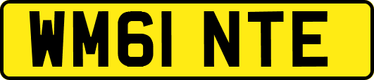 WM61NTE