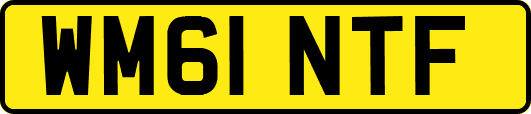 WM61NTF