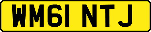 WM61NTJ