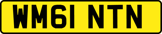 WM61NTN