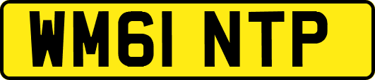 WM61NTP