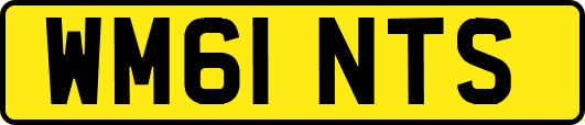 WM61NTS