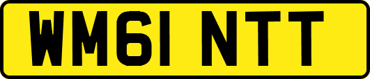 WM61NTT