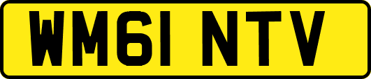 WM61NTV