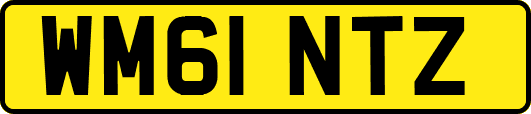 WM61NTZ
