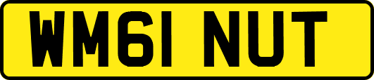 WM61NUT