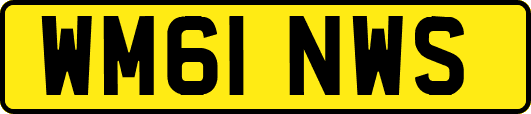 WM61NWS