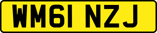 WM61NZJ