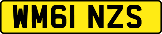 WM61NZS