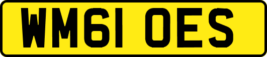 WM61OES