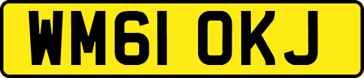 WM61OKJ