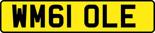 WM61OLE