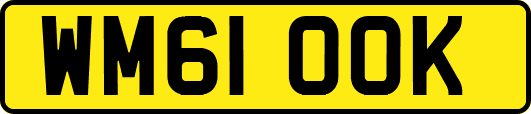 WM61OOK