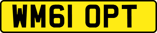 WM61OPT