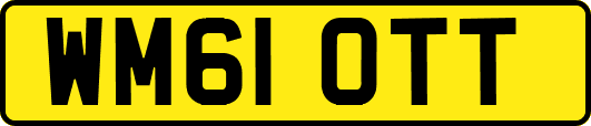 WM61OTT