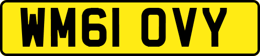 WM61OVY