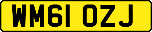 WM61OZJ