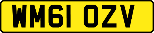 WM61OZV