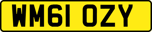 WM61OZY