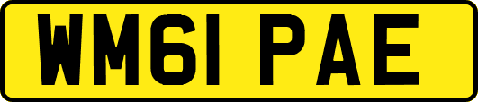WM61PAE