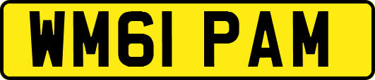 WM61PAM