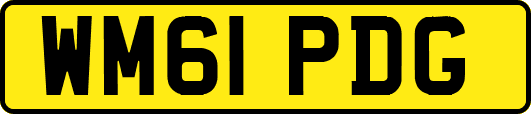 WM61PDG