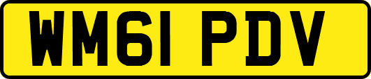 WM61PDV