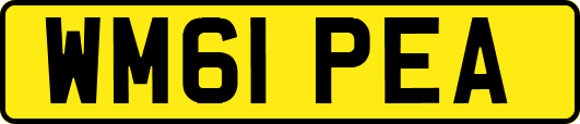 WM61PEA